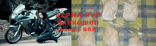 крисы Новосибирск