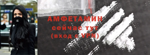 сатива Ессентукская