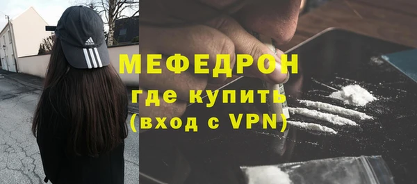 сатива Ессентукская