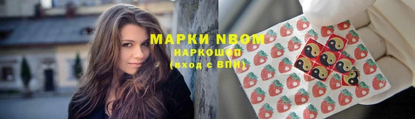 крисы Новосибирск