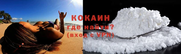 сатива Ессентукская