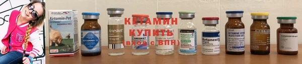 сатива Ессентукская