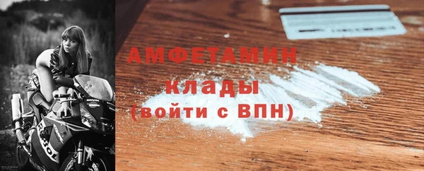 сатива Ессентукская
