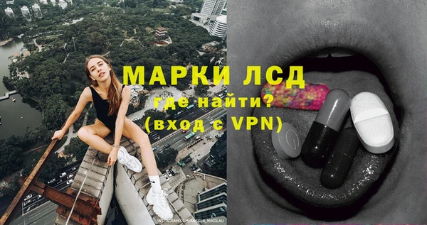 сатива Ессентукская