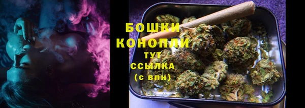 крисы Новосибирск
