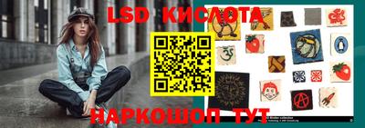 гашик Гатчина