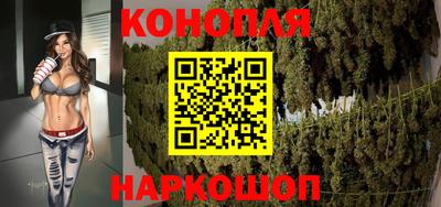 гашик Гатчина