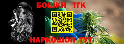 гашик Гатчина