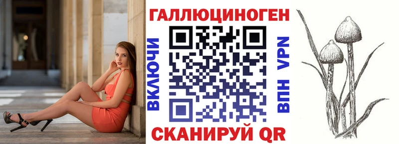Псилоцибиновые грибы прущие грибы  Камышин 