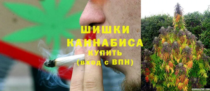 купить  цена  Камышин  Бошки марихуана Bruce Banner 